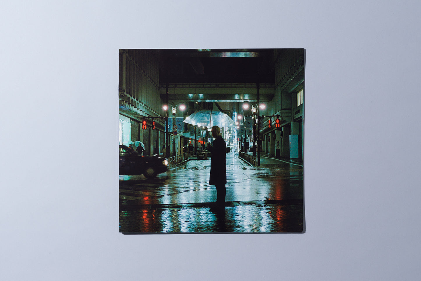 WETLANDS Vinyl Record
